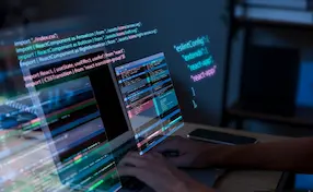 Desarrollo Web